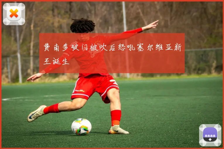费南多破门被吹后怒吼塞尔维亚新王诞生