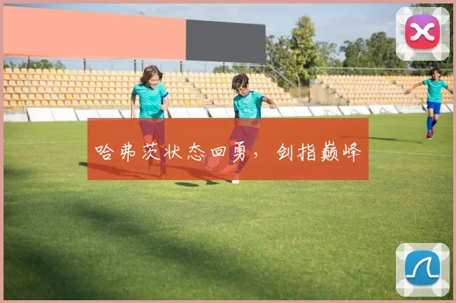 哈弗茨状态回勇，剑指巅峰
