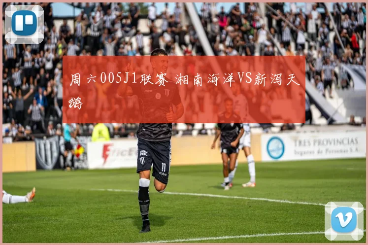 周六005J1联赛 湘南海洋VS新泻天鹅