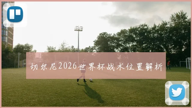 切尔尼2026世界杯战术位置解析