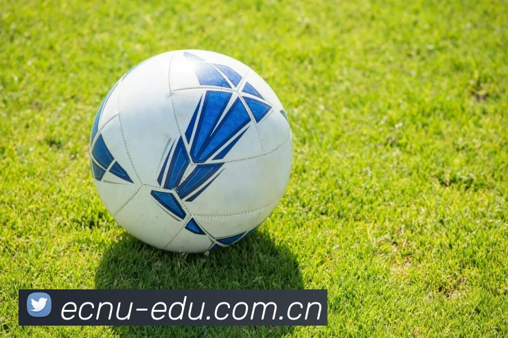 关于bet365登陆线上平台-bet365世界杯（中国）