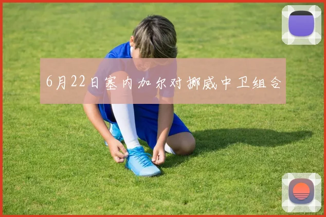 6月22日塞内加尔对挪威中卫组合