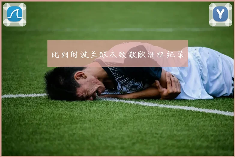 比利时波兰球衣致敬欧洲杯纪录