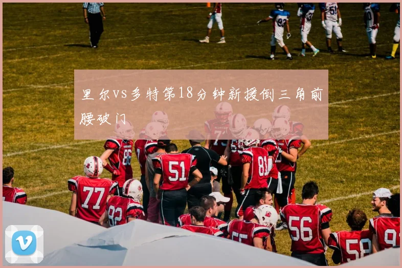 里尔vs多特第18分钟新援倒三角前腰破门