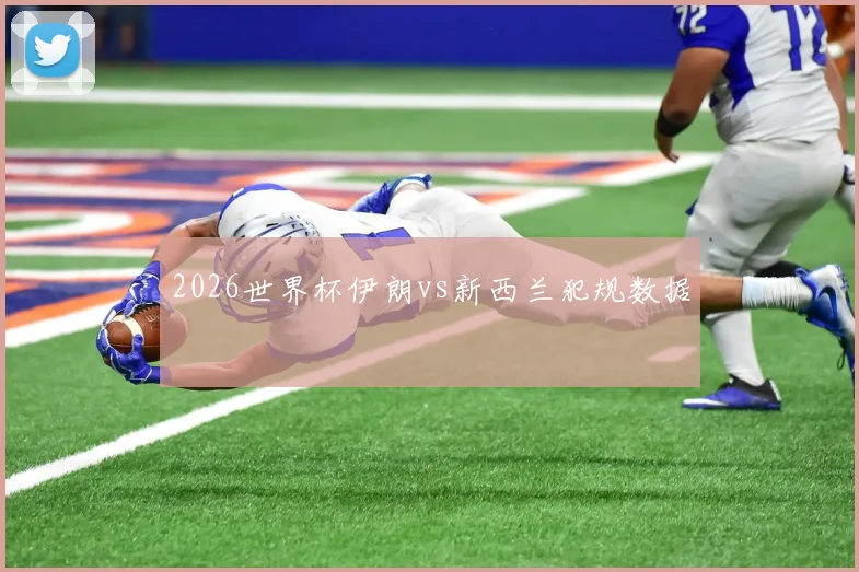 2026世界杯伊朗vs新西兰犯规数据