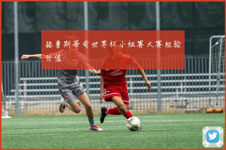 赫鲁斯蒂奇世界杯小组赛大赛经验价值