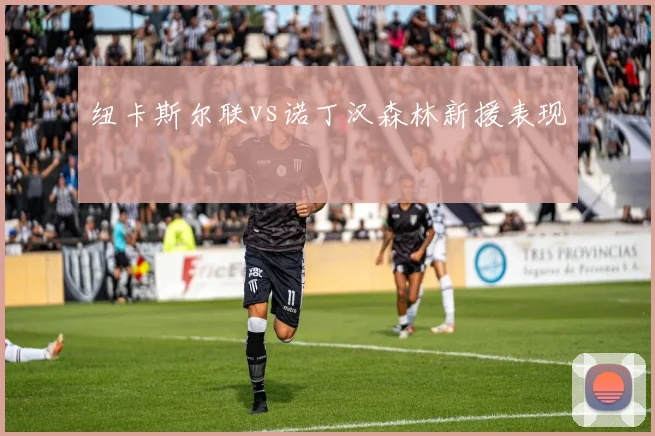 纽卡斯尔联vs诺丁汉森林新援表现