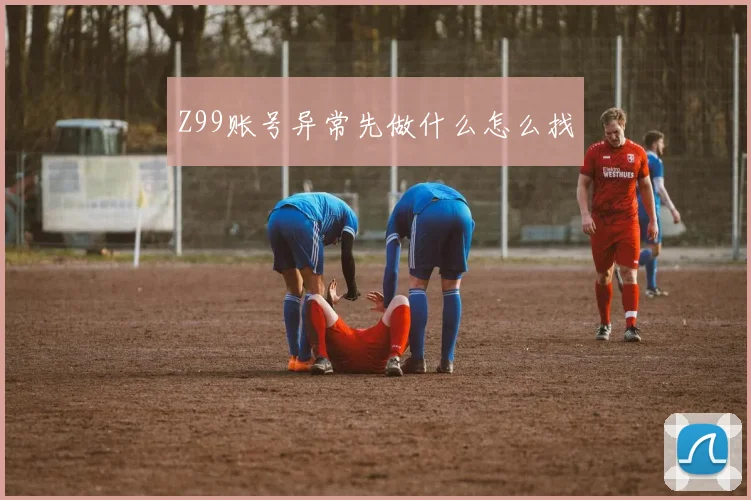 Z99账号异常先做什么怎么找