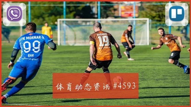 2026世界杯荷兰日本赛前比分观察
